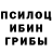Псилоцибиновые грибы GOLDEN TEACHER serif cigerov