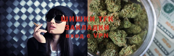 шишки Балабаново