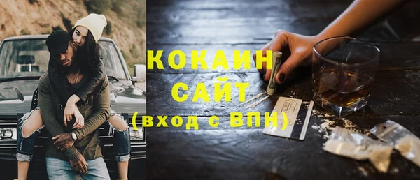 шишки Балабаново
