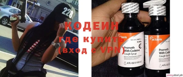 шишки Балабаново