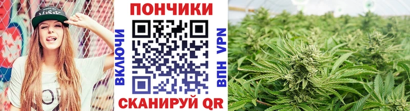 Шишки марихуана индика  Пересвет 